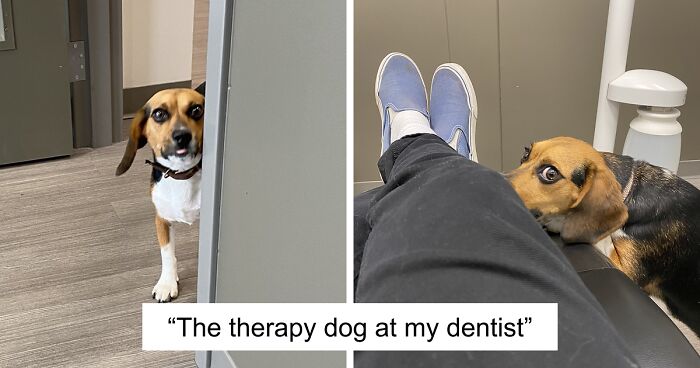 46 Times Doctors’ Awesome Sense Of Humor Made Everything Less Scary (New Pics)