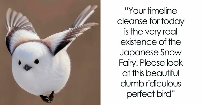 If You Need A Quick Serotonin Boost, Here Are 89 Wholesome Memes To Get The Job Done