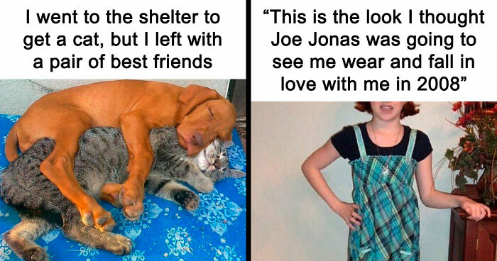 If You Need A Quick Serotonin Boost, Here Are 89 Wholesome Memes To Get The Job Done