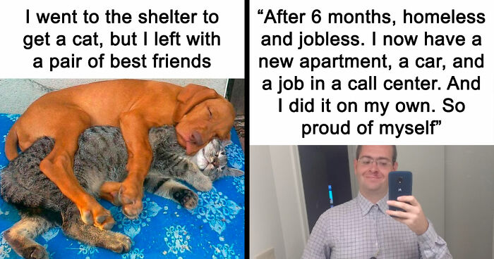 If You Need A Quick Serotonin Boost, Here Are 89 Wholesome Memes To Get The Job Done
