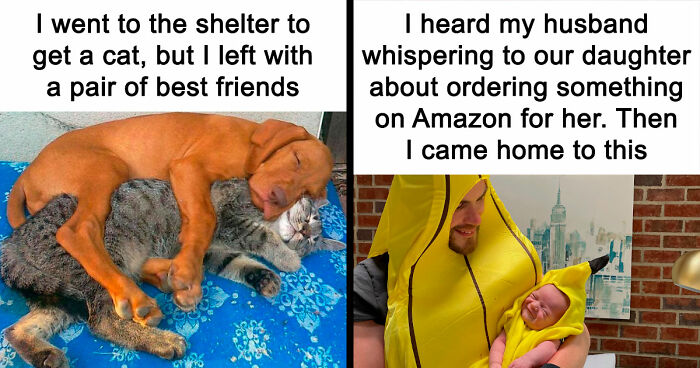 If You Need A Quick Serotonin Boost, Here Are 89 Wholesome Memes To Get The Job Done