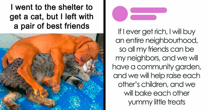 If You Need A Quick Serotonin Boost, Here Are 89 Wholesome Memes To Get The Job Done