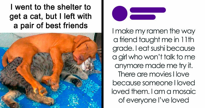 If You Need A Quick Serotonin Boost, Here Are 89 Wholesome Memes To Get The Job Done