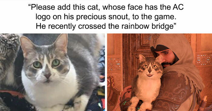 If You Need A Quick Serotonin Boost, Here Are 89 Wholesome Memes To Get The Job Done