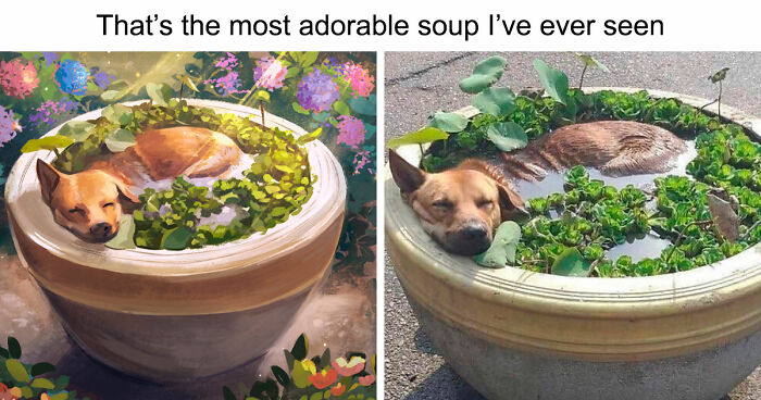 If You Need A Quick Serotonin Boost, Here Are 89 Wholesome Memes To Get The Job Done