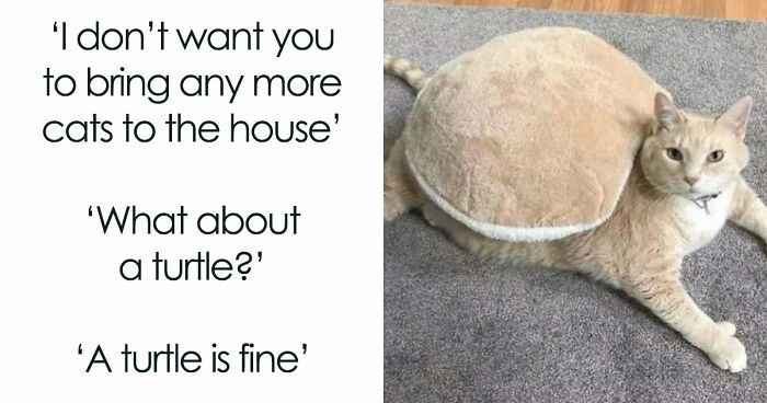 If You Need A Quick Serotonin Boost, Here Are 89 Wholesome Memes To Get The Job Done