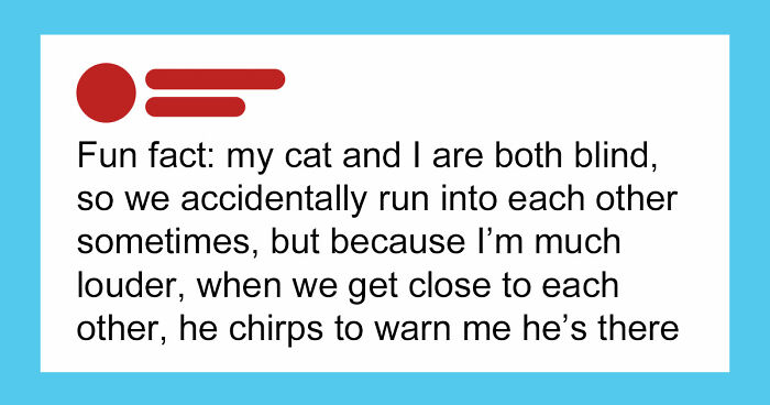 If You Need A Quick Serotonin Boost, Here Are 89 Wholesome Memes To Get The Job Done
