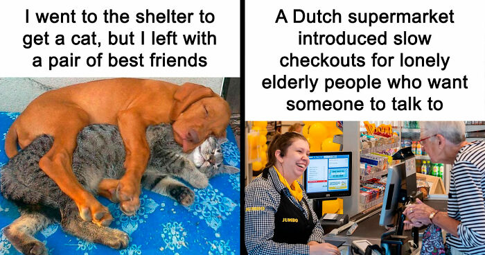 If You Need A Quick Serotonin Boost, Here Are 89 Wholesome Memes To Get The Job Done