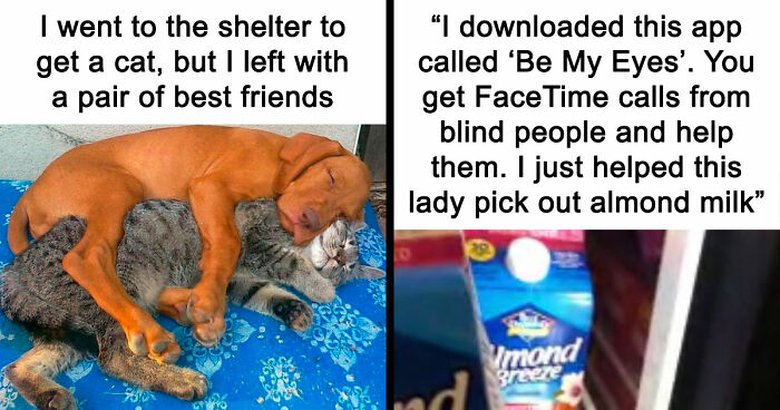 If You Need A Quick Serotonin Boost, Here Are 89 Wholesome Memes To Get The Job Done