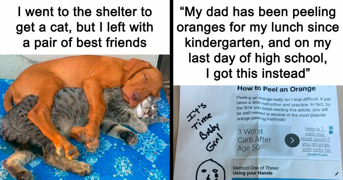 If You Need A Quick Serotonin Boost, Here Are 89 Wholesome Memes To Get The Job Done