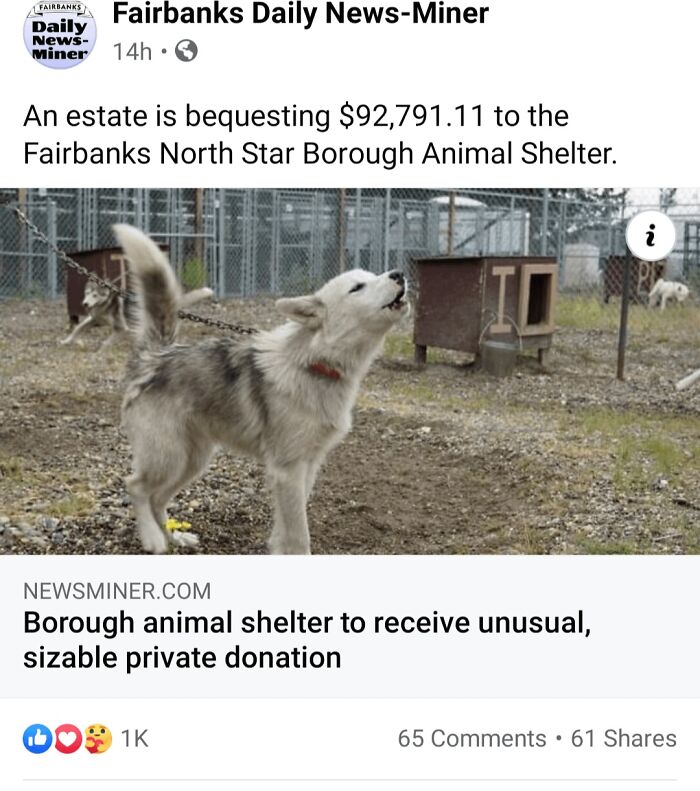 Fairbanks animal shelter to receive large private donation benefitting homeless dogs