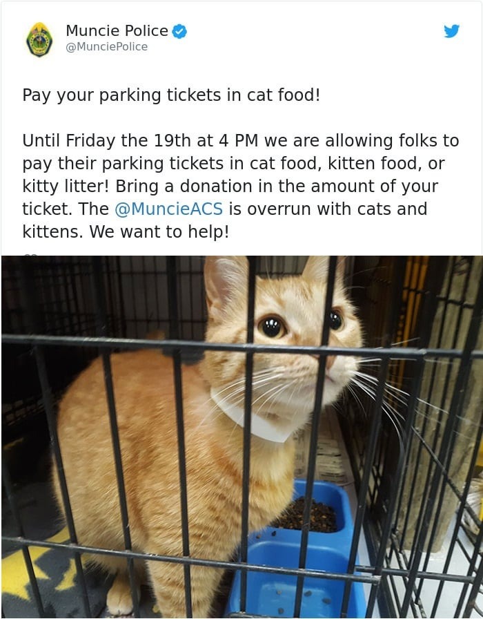 Muncie Police promoting donation of cat food to pay parking tickets aiding animal shelter