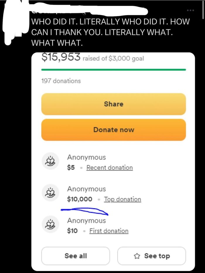 Screenshot of GoFundMe showing surprise at large anonymous donation exceeding goal