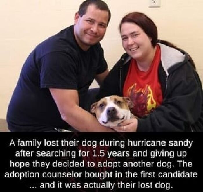 Family reunited with lost dog after hurricane Sandy