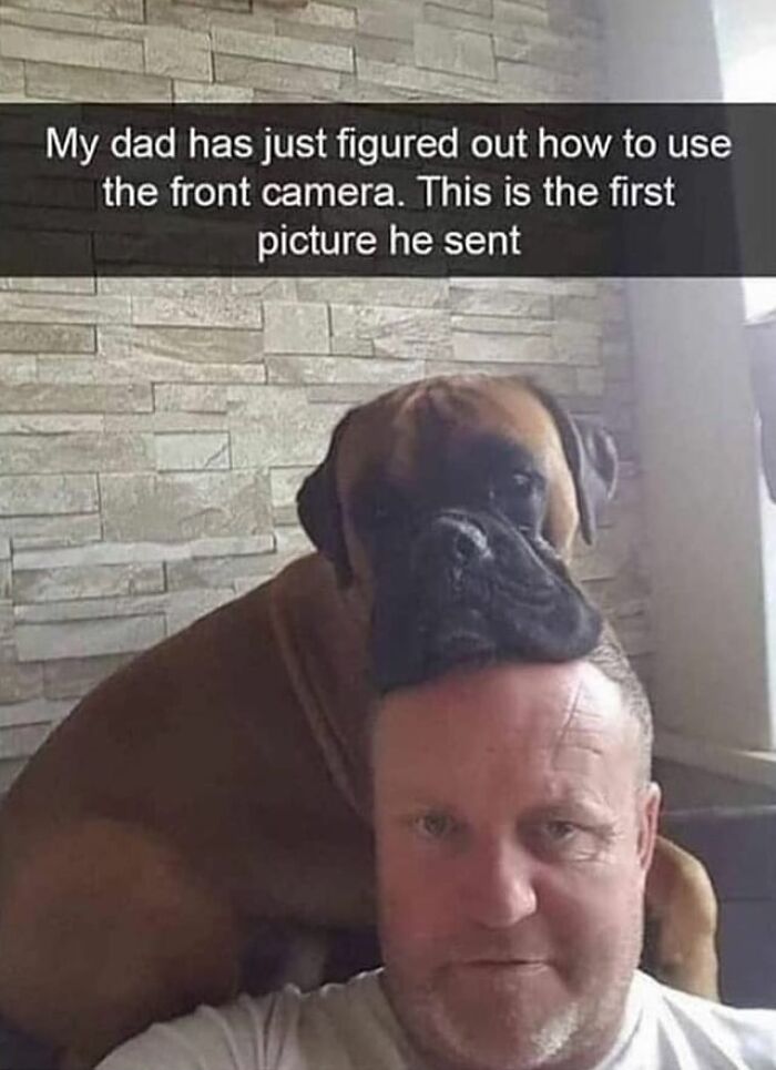 Funny photo of dog resting head on man's shaved head