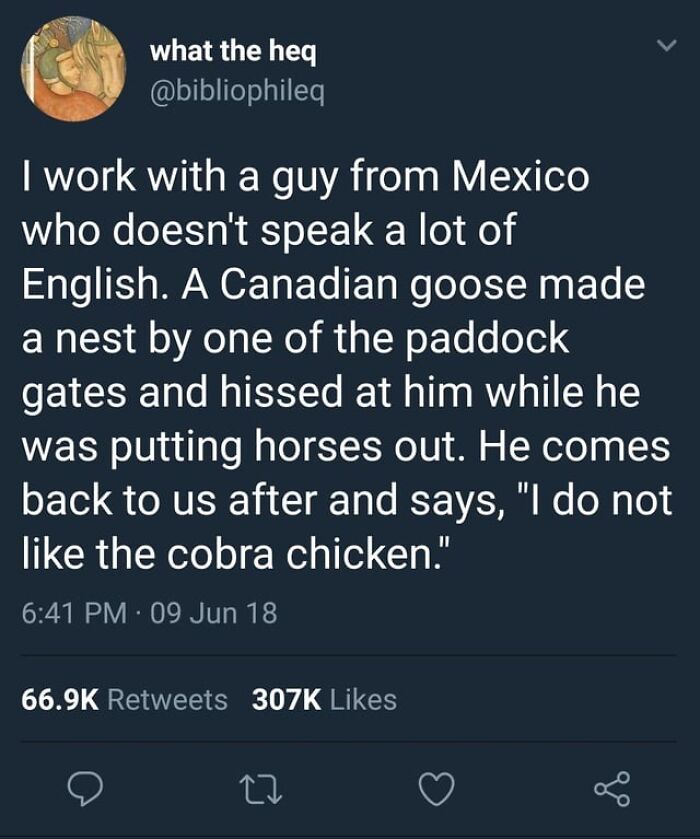 Tweet about a Mexican coworker calling a goose a cobra chicken