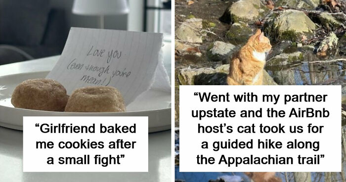 If Life Feels Too Heavy Lately, These 85 Wholesome Posts Might Remind You That Good Still Exists