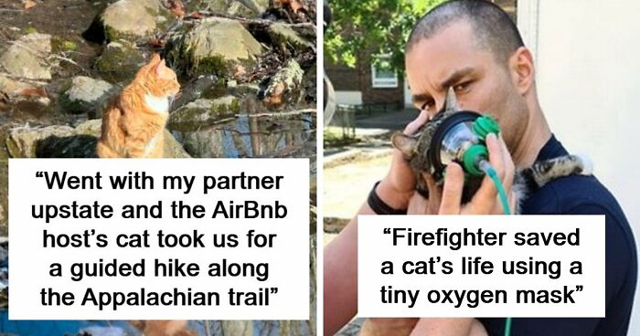 If Life Feels Too Heavy Lately, These 85 Wholesome Posts Might Remind You That Good Still Exists