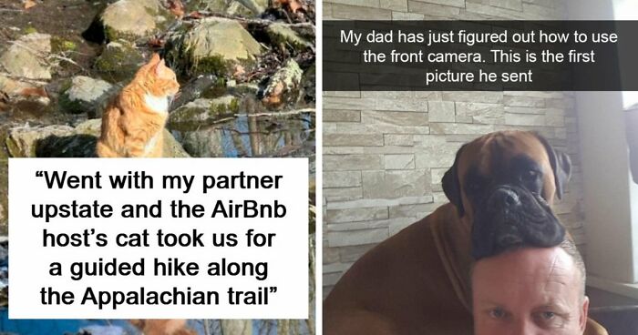 If Life Feels Too Heavy Lately, These 85 Wholesome Posts Might Remind You That Good Still Exists