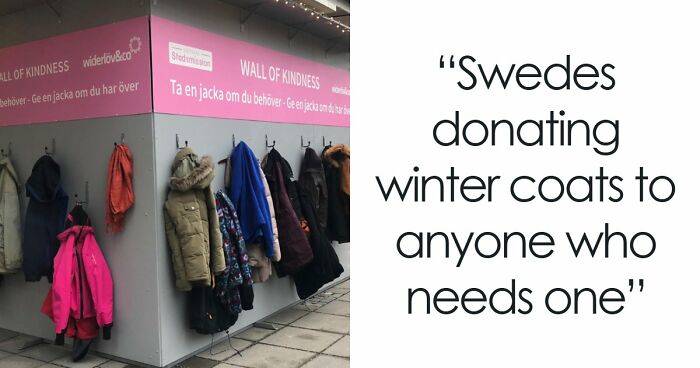 If Life Feels Too Heavy Lately, These 85 Wholesome Posts Might Remind You That Good Still Exists