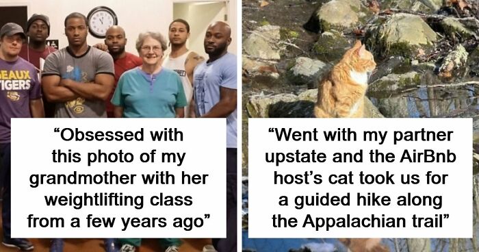 If Life Feels Too Heavy Lately, These 85 Wholesome Posts Might Remind You That Good Still Exists