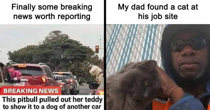 99 Wholesome Pics That Hit Harder Than A Pixar Movie
