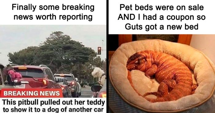 99 Wholesome Pics That Hit Harder Than A Pixar Movie