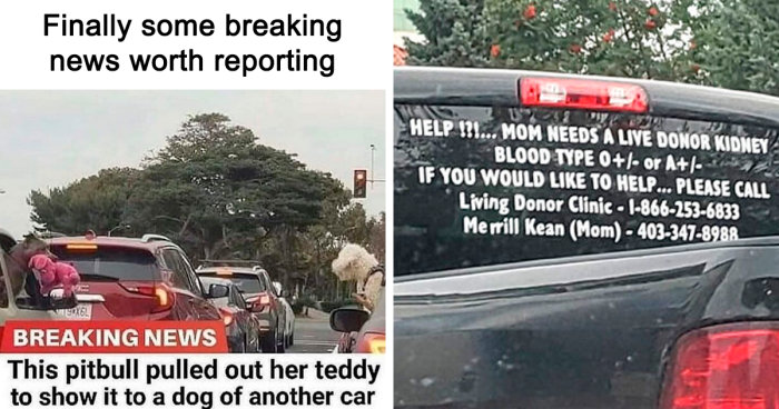 99 Wholesome Pics That Hit Harder Than A Pixar Movie
