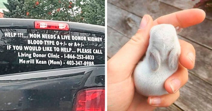 99 Wholesome Pics That Hit Harder Than A Pixar Movie