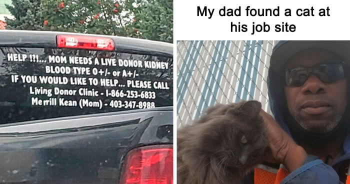 99 Wholesome Pics That Hit Harder Than A Pixar Movie