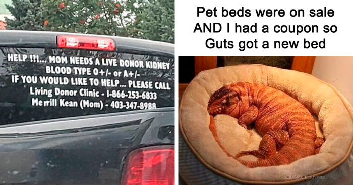 99 Wholesome Pics That Hit Harder Than A Pixar Movie