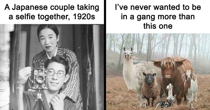 99 Wholesome Pics That Hit Harder Than A Pixar Movie