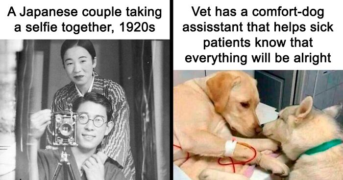99 Wholesome Pics That Hit Harder Than A Pixar Movie