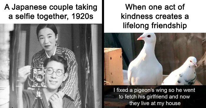 99 Wholesome Pics That Hit Harder Than A Pixar Movie