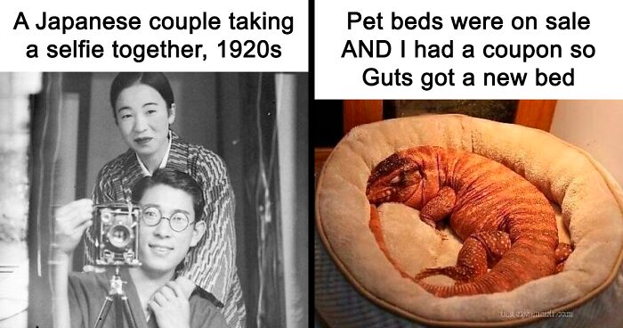 99 Wholesome Pics That Hit Harder Than A Pixar Movie