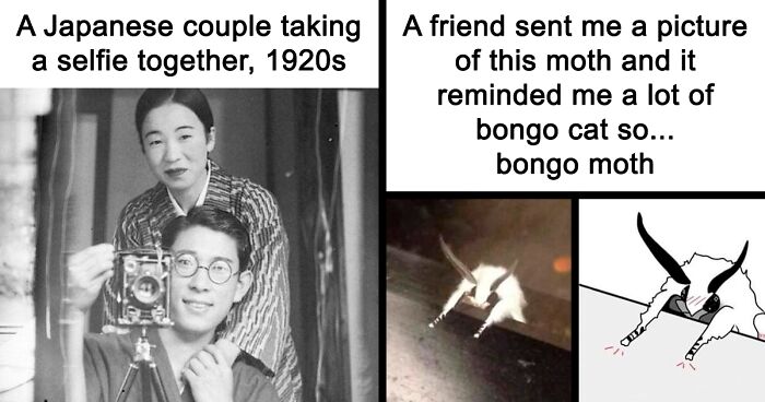 99 Wholesome Pics That Hit Harder Than A Pixar Movie