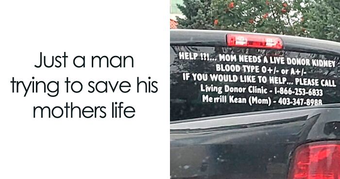 99 Wholesome Pics That Hit Harder Than A Pixar Movie