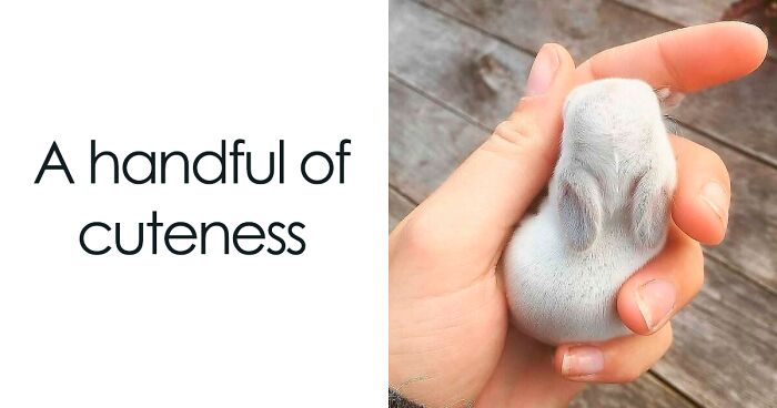 99 Wholesome Pics That Hit Harder Than A Pixar Movie