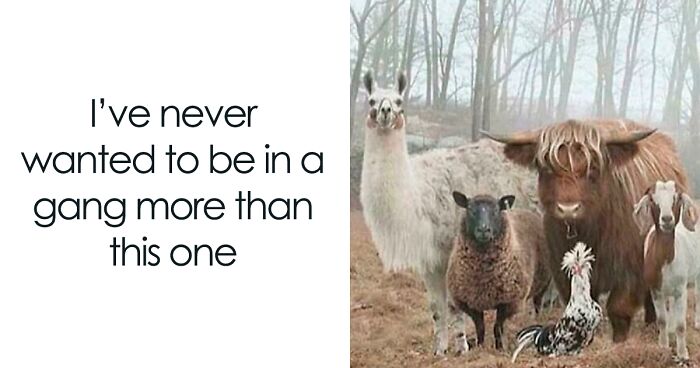 99 Wholesome Pics That Hit Harder Than A Pixar Movie