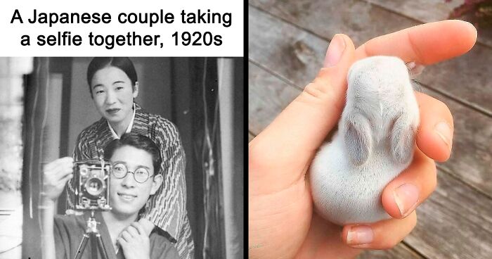 99 Wholesome Pics That Hit Harder Than A Pixar Movie