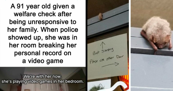 If You Are Feeling Down, These 83 Positive Posts Might Make Your Day (New Pics)
