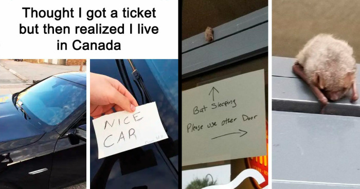 83 Posts Full Of ‘Very Important Positivity’ To Make Your Day A Little Better (New Pics)