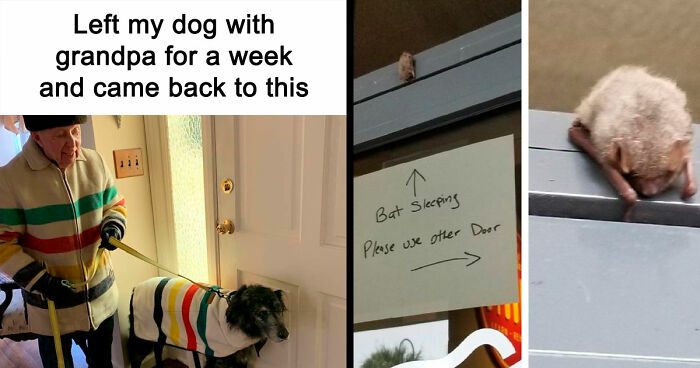 If You Are Feeling Down, These 83 Positive Posts Might Make Your Day (New Pics)
