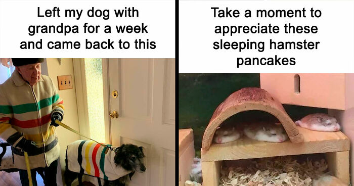 If You Are Feeling Down, These 83 Positive Posts Might Make Your Day (New Pics)