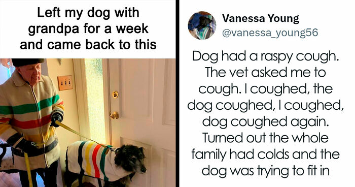If You Are Feeling Down, These 83 Positive Posts Might Make Your Day (New Pics)
