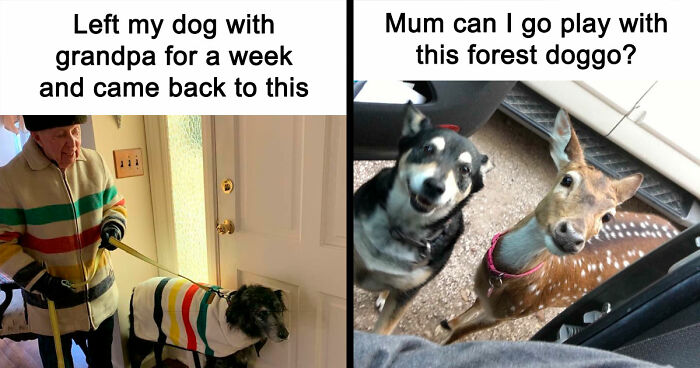If You Are Feeling Down, These 83 Positive Posts Might Make Your Day (New Pics)