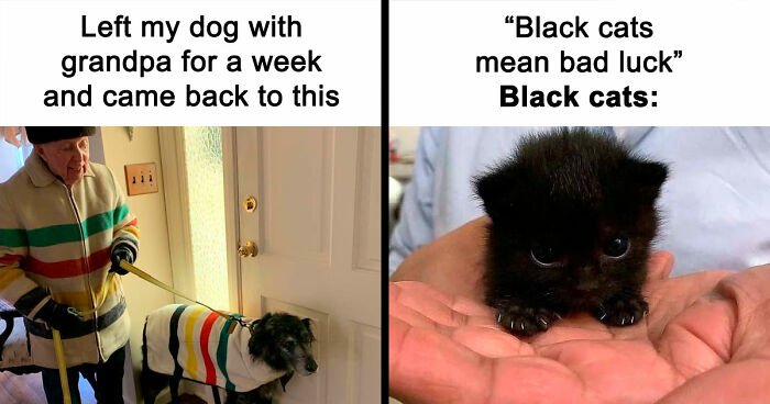If You Are Feeling Down, These 83 Positive Posts Might Make Your Day (New Pics)