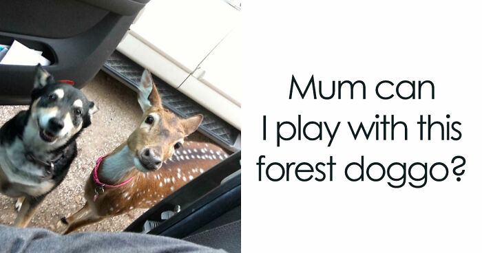 If You Are Feeling Down, These 83 Positive Posts Might Make Your Day (New Pics)