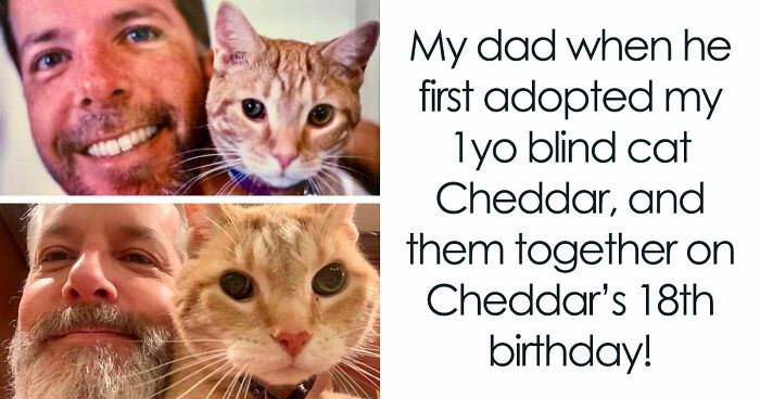 If You Are Feeling Down, These 83 Positive Posts Might Make Your Day (New Pics)