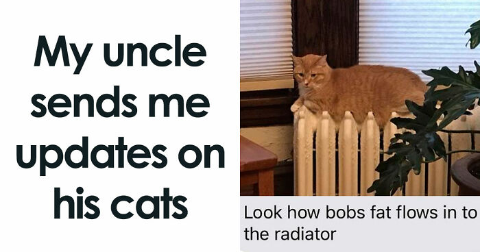 If You Are Feeling Down, These 83 Positive Posts Might Make Your Day (New Pics)